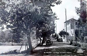 LE FIGUIER - PLAGE ET HOTEL BEAUSEJOUR
